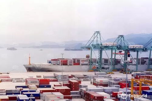 網(wǎng)上貿(mào)易代理商品檢驗(yàn)費(fèi)用影響因素分析